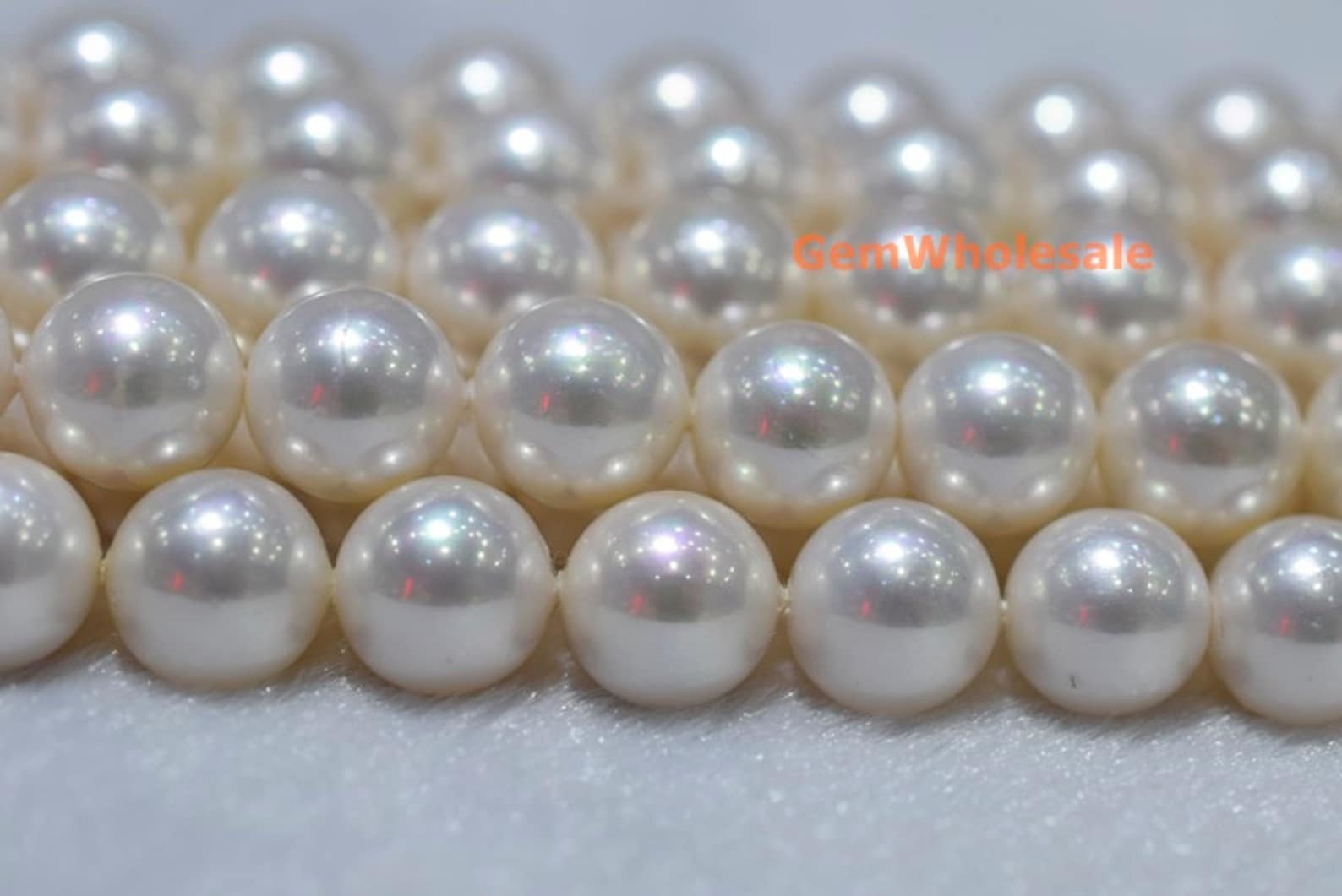 Shell Pearl Round 15.5