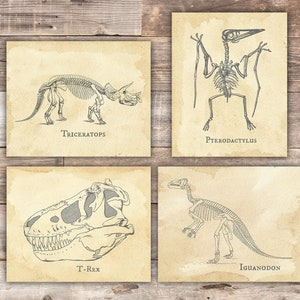 Dinosaur Bedroom Wall Decor Art Prints (Set of 4) - 8x10s