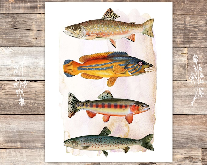 Fish Wall Art Prints set of 6 8x10s Vintage Fishing Etsy