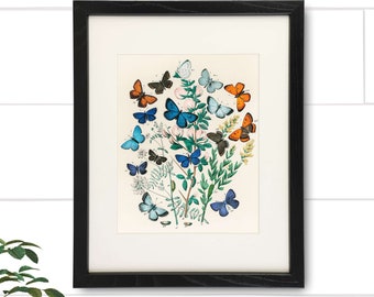 Vintage Butterfly Wall Art Print - 8x10 | Botanical Wall Decor