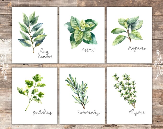 Kitchen Herbs Art Prints Botanical Prints set of 6 - Etsy