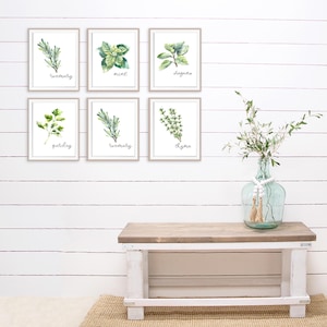 Kitchen Herbs Art Prints - Botanical Prints - (set of 6) - 8x10s - Etsy