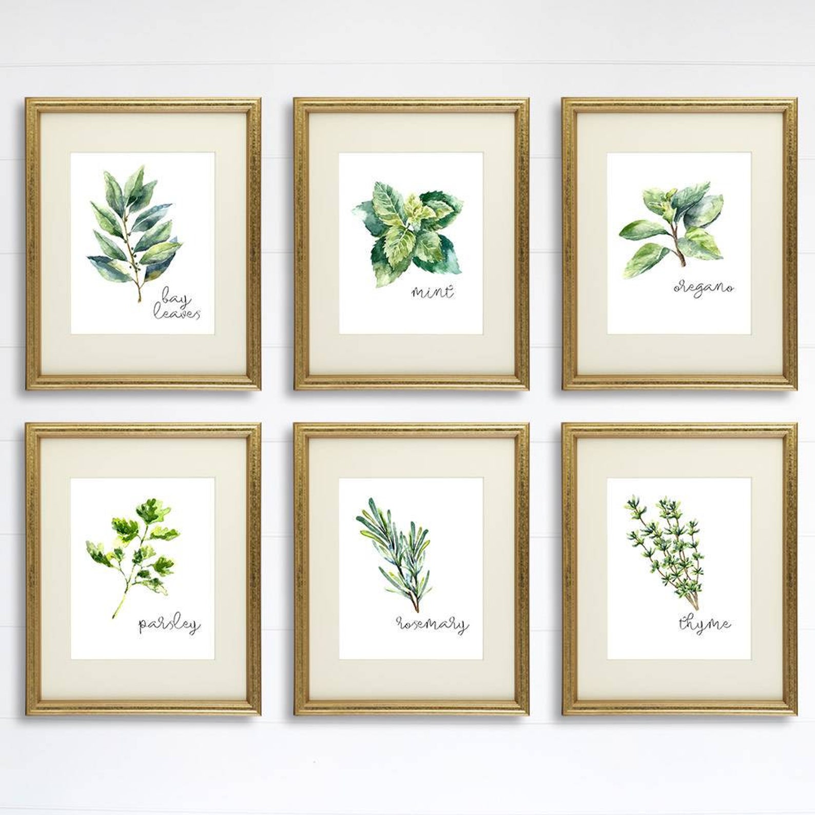 Kitchen Herbs Art Prints Botanical Prints set of 6 | Etsy