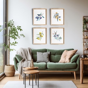 Op de afbeelding: Vier ingelijste aquarelprints van olijftakken met groene bladeren en zwarte of gele olijven hangen boven een groene fluwelen bank. De prints zitten in lichtbruine houten frames. Een potplant en een bijzettafel staan op de voorgrond.