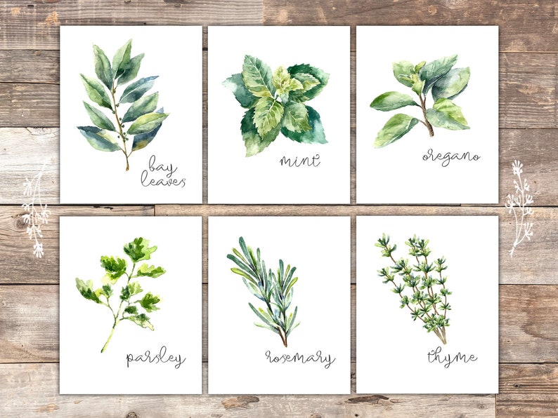 Kitchen Herbs Art Prints Botanical Prints set of 6 | Etsy