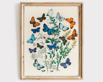 Vintage Butterfly Wall Art Print - 8x10 | Botanical Wall Decor
