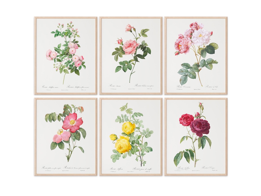 Vintage Flowers Wall Art Prints (set of 6) - 8x10s | Roses - Etsy