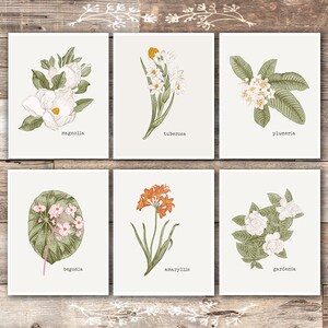 Vintage Botanical Wall Art Prints (Set of 6) - 8x10s | Flower Wall Decor