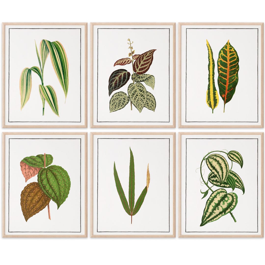 Vintage Foliage Botanical Art Prints (set of 6) - 8x10s - Etsy