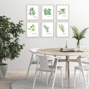 Kitchen Herbs Art Prints - Botanical Prints - (set of 6) - 8x10s - Etsy