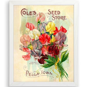 Seed Store Art Print | Vintage Floral Decor | Sweet Pea Wall Art