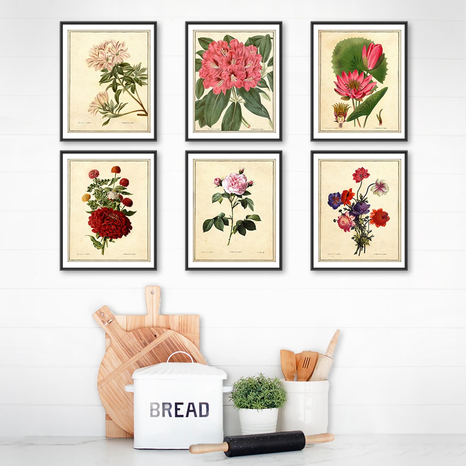 Vintage Botanical Flowers Art Prints (set of 6) - 8x10s - Etsy