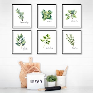 Kitchen Herbs Art Prints - Botanical Prints - (set of 6) - 8x10s - Etsy