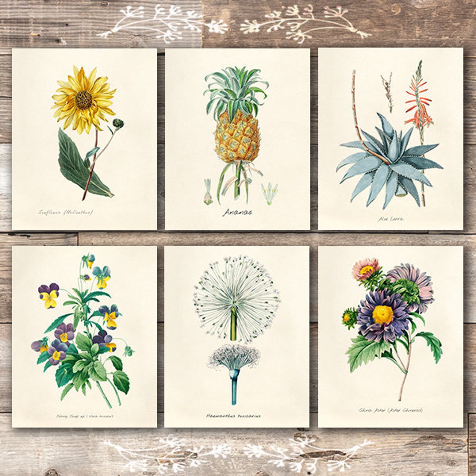 Vintage Botanical Prints Wall Art Prints set of 6 8x10s | Etsy
