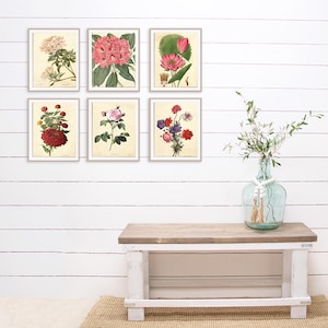 Vintage Botanical Flowers Art Prints (set of 6) - 8x10s - Etsy