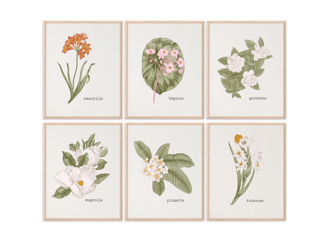 Vintage Botanical Wall Art Prints set of 6 8x10s Flower Wall Decor - Etsy