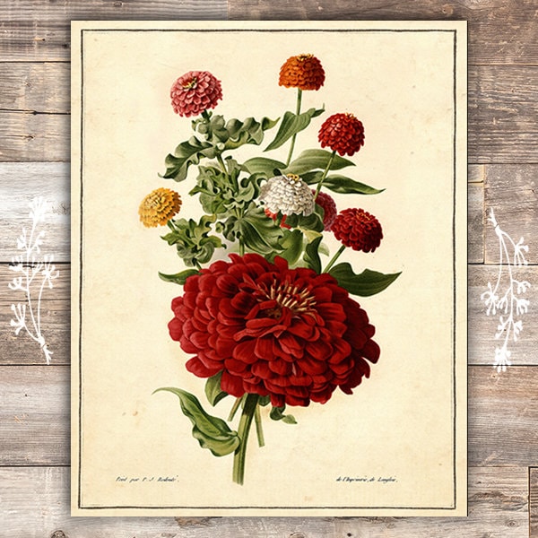 Vintage Botanical Flowers Art Prints Set of 6 8x10s | Etsy