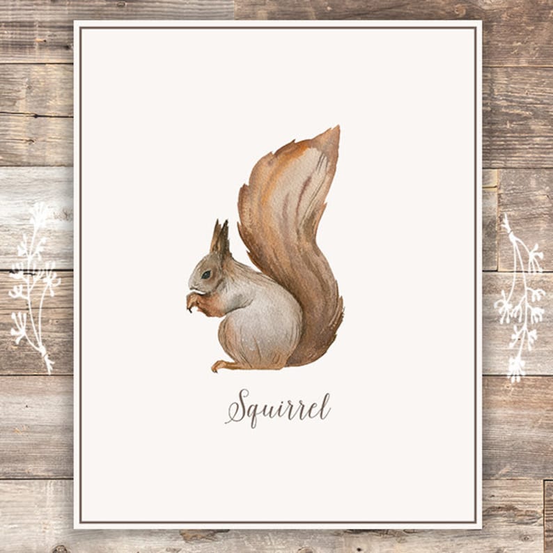 Vintage Woodland Animals Art Prints set of 6 8x10s - Etsy