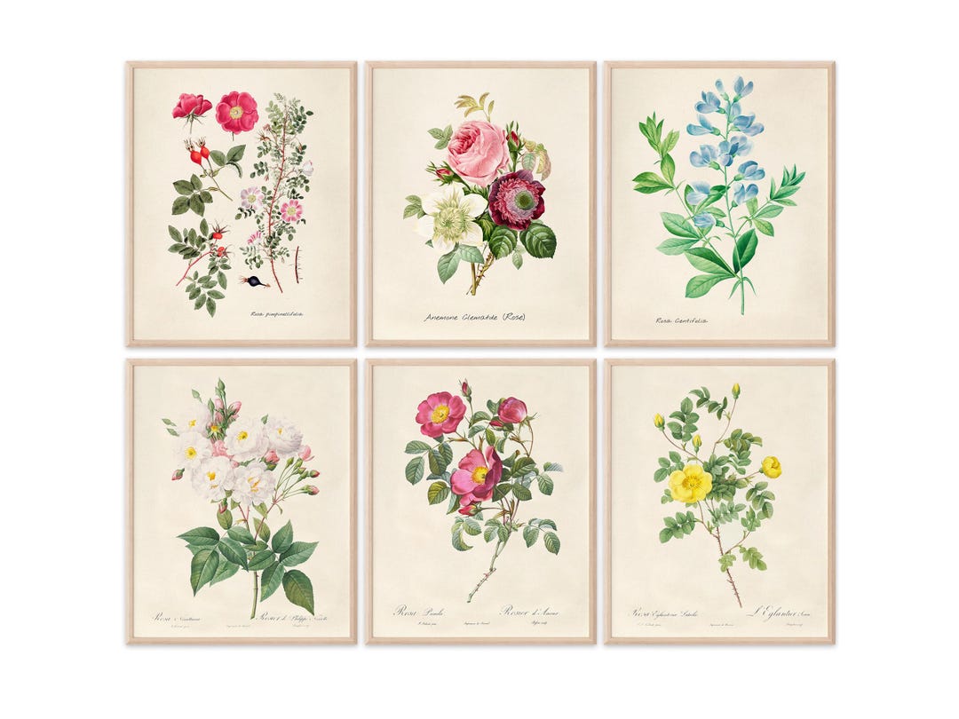 Vintage Roses Wall Art Prints (set of 6) - 8x10s | Botanical Decor - Etsy