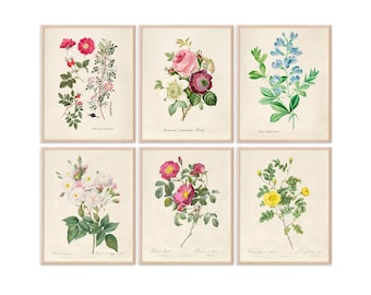 Vintage Roses Wall Art Prints (Set of 6) - 8x10s | Botanical Decor