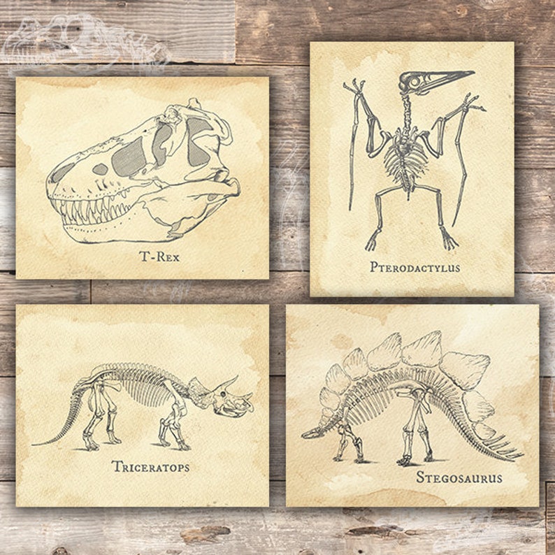 Dinosaur Bedroom Wall Decor Art Prints set of 4 8x10s Etsy
