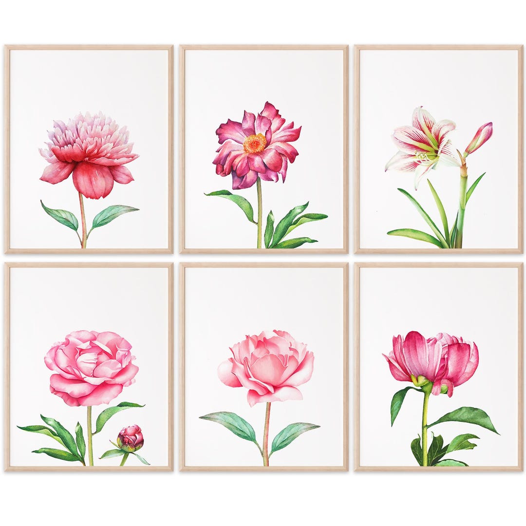 Floral Wall Art Prints (set of 6) - 8x10s | Botanical Decor - Etsy