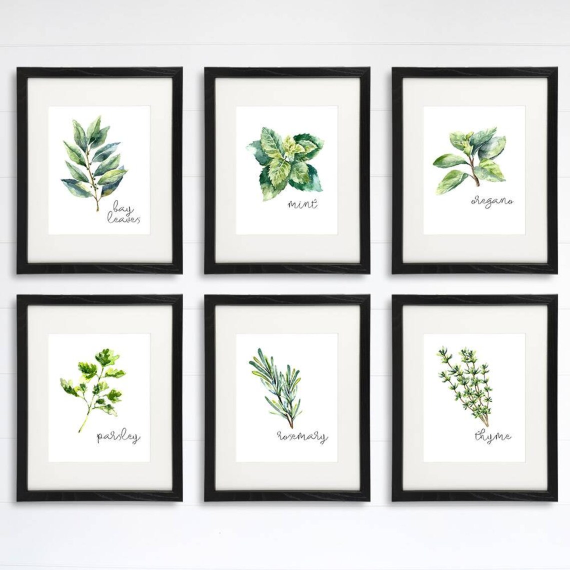 Kitchen Herbs Art Prints Botanical Prints set of 6 | Etsy