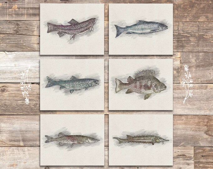 Fish Wall Art Prints set of 6 8x10s Vintage Fishing Etsy