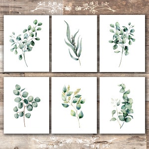 Eucalyptus Leaves | Botanical Prints Wall Art (Set of 6) - 8x10s