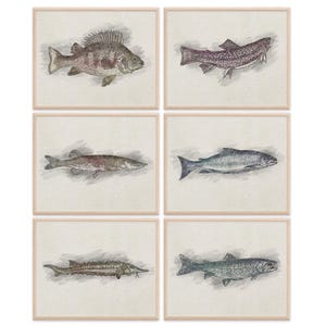 Fish Sketches Wall Art Prints (Set of 6) - 8x10s