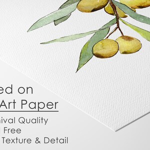 Op de afbeelding: Waterverfillustratie van een olijftak met groene bladeren en rijpe olijven. De afbeelding is gedrukt op fine art papier, met de tekst "Printed on Fine Art Paper - Archival Quality - Acid Free - Rich Texture & Detail."