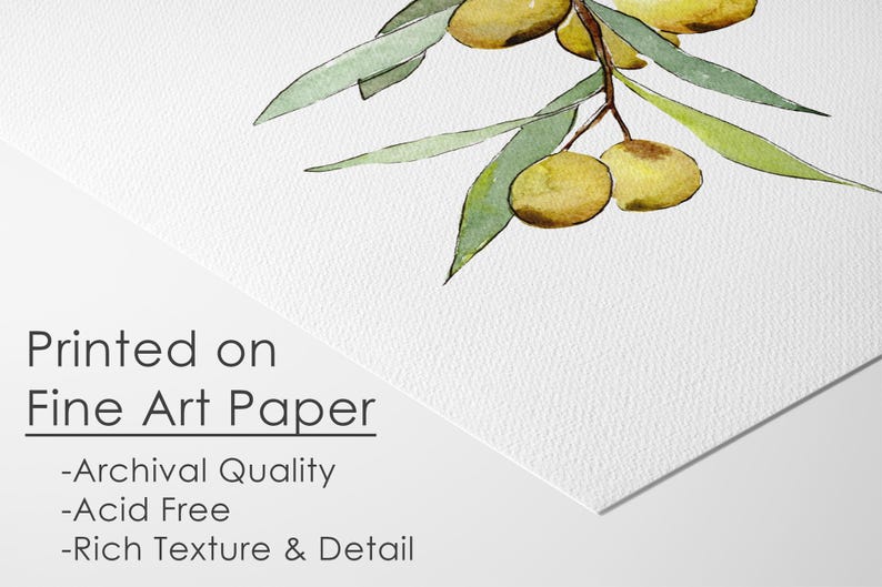 Op de afbeelding: Waterverfillustratie van een olijftak met groene bladeren en rijpe olijven. De afbeelding is gedrukt op fine art papier, met de tekst "Printed on Fine Art Paper - Archival Quality - Acid Free - Rich Texture & Detail."