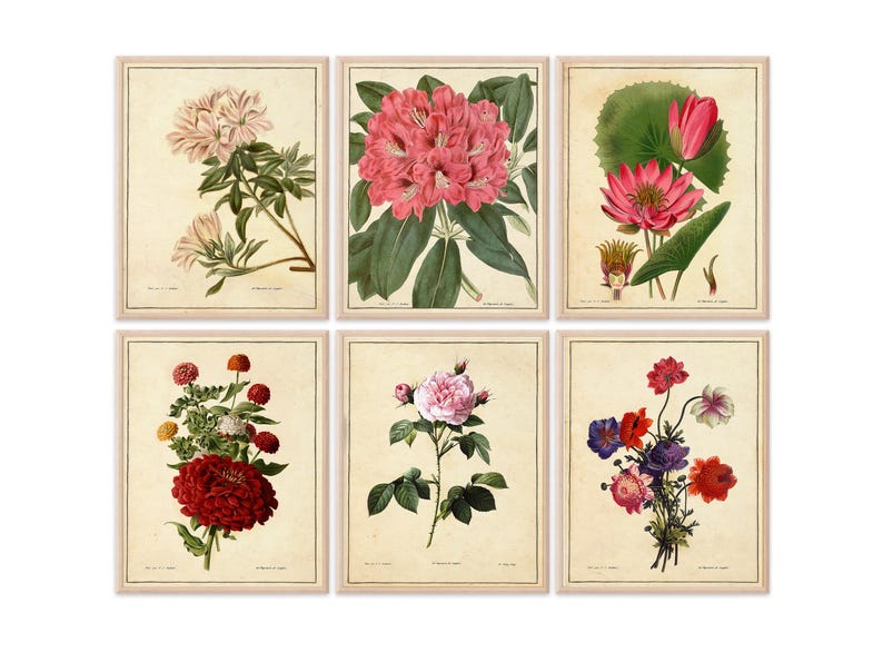 Vintage Botanical Flowers Art Prints (set of 6) - 8x10s - Etsy