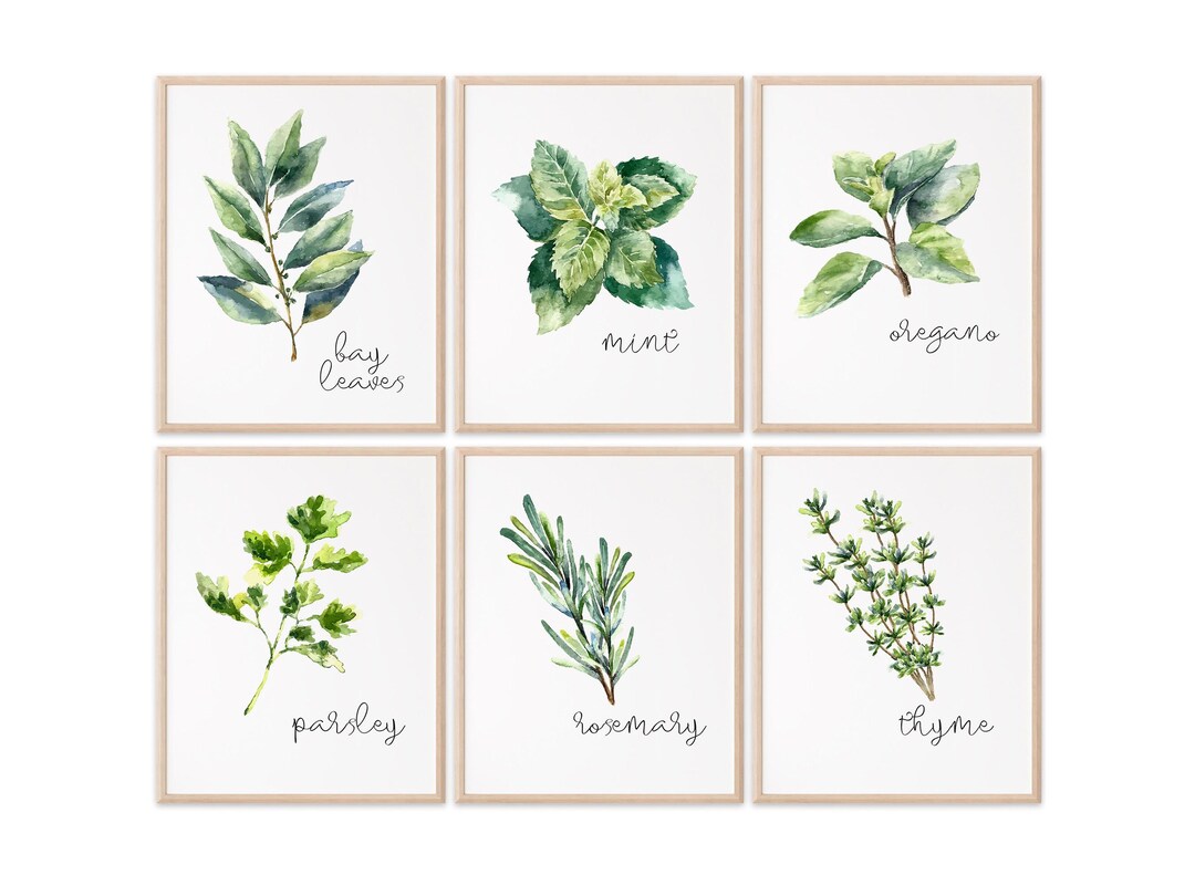 Kitchen Herbs Art Prints - Botanical Prints - (set of 6) - 8x10s - Etsy