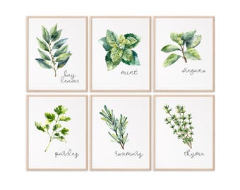 Kitchen Herbs Art Prints - Botanical Prints - (Set of 6) - 8x10s