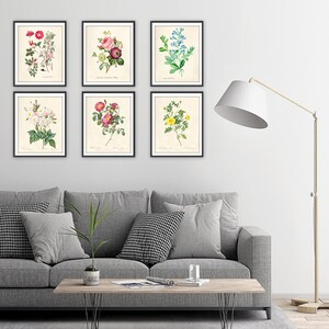 Vintage Roses Wall Art Prints (set of 6) - 8x10s | Botanical Decor - Etsy