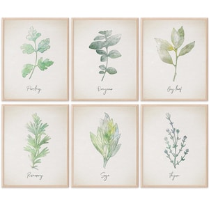 Kitchen Herbs Art Prints: Botanical Wall Decor (Set of 6)