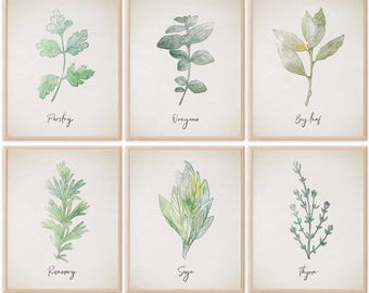 May include: Set of six watercolor illustrations of herbs, including parsley, oregano, bay leaf, rosemary, sage, and thyme. Each illustration is framed in a light wood frame and set against a cream background.