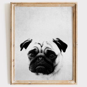 Pug Art Print - 8x10