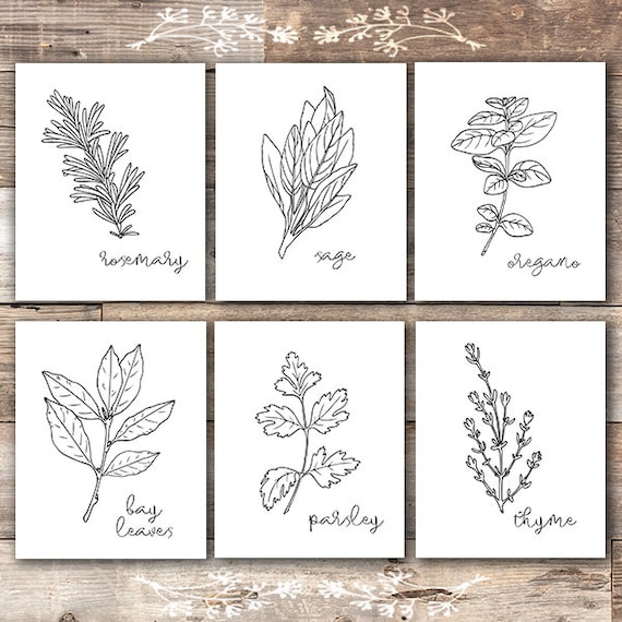 Kitchen Herbs Black & White Art Prints Botanical Prints | Etsy