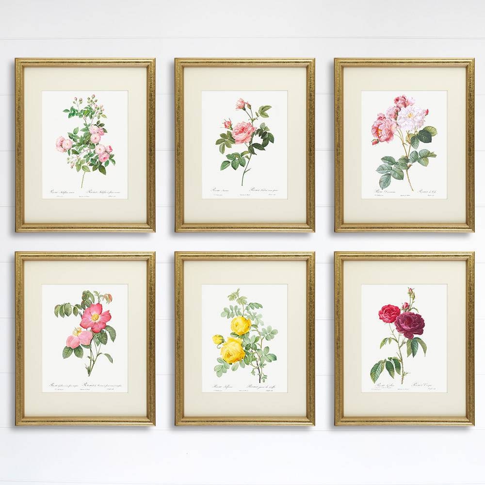 Vintage Flowers Wall Art Prints set of 6 8x10s Roses | Etsy