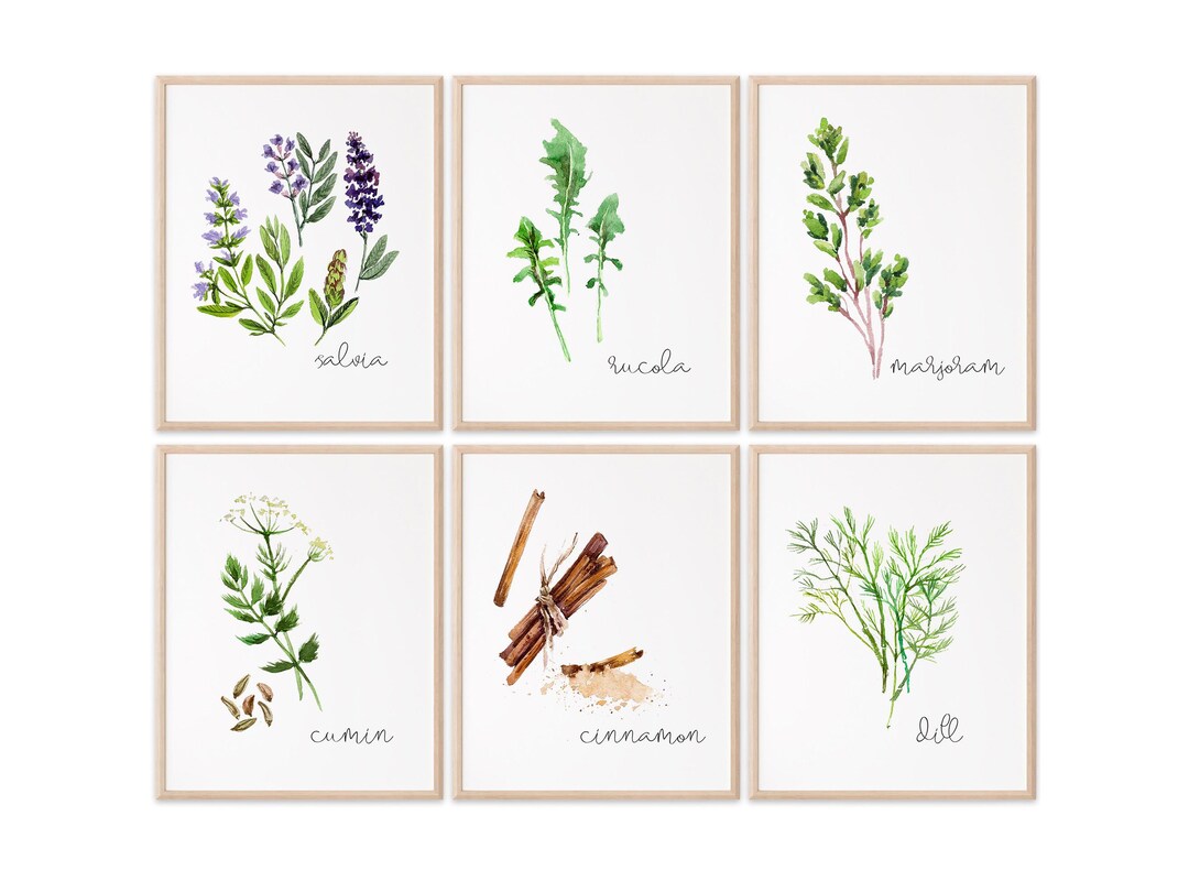 Kitchen Herbs Art Prints - Botanical Prints - (set of 6) - Unframed ...