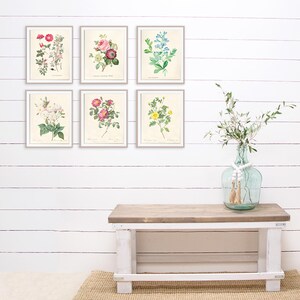 Vintage Roses Wall Art Prints (set of 6) - 8x10s | Botanical Decor - Etsy
