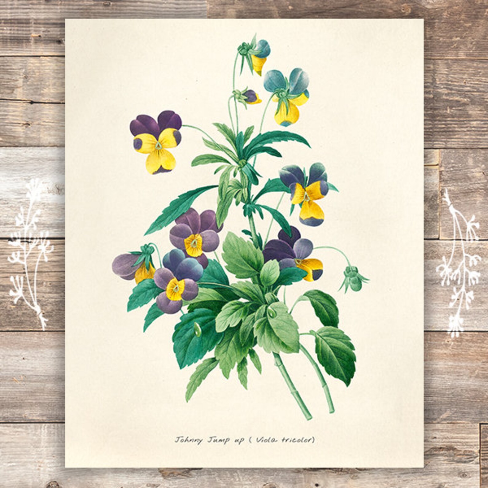 Vintage Botanical Prints Wall Art Prints set of 6 8x10s | Etsy