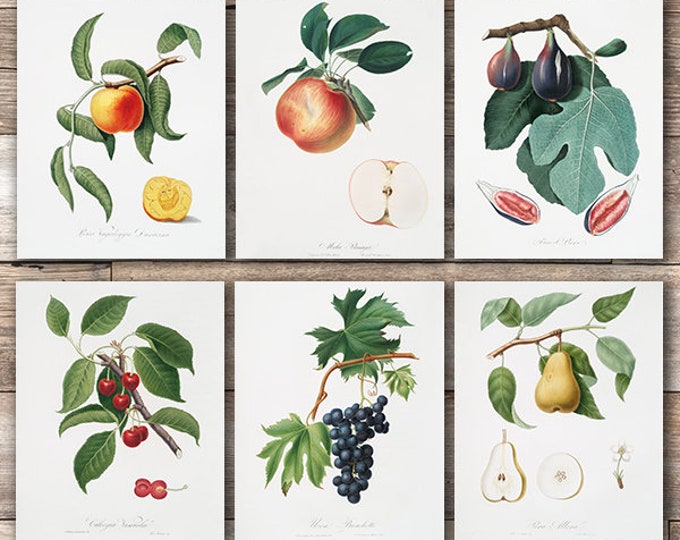 Vintage Fruit Art Prints Kitchen Botanical Prints set of Etsy