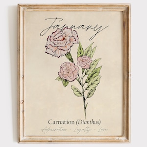 January Birth Flower - Cross Stitched Carnation Art Print | Wall Art