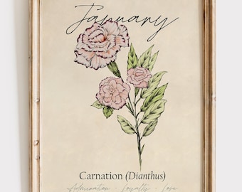 January Birth Flower - Cross Stitched Carnation Art Print | Wall Art