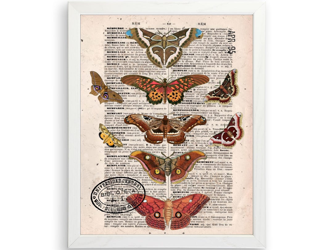 Moth Dictionary Art Print | Vintage Insect Wall Art - Etsy