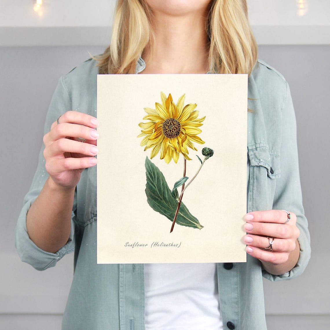Vintage Botanical Prints Wall Art Prints (set of 6) - 8x10s - Etsy