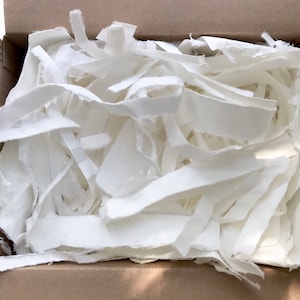 May include: A cardboard box filled with white shredded paper packing material.